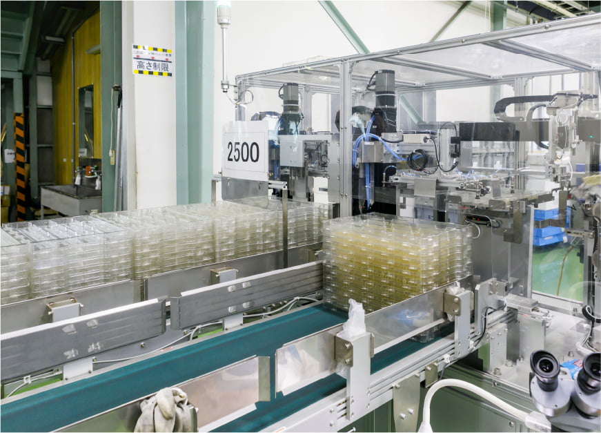 製品の自動整列機の写真